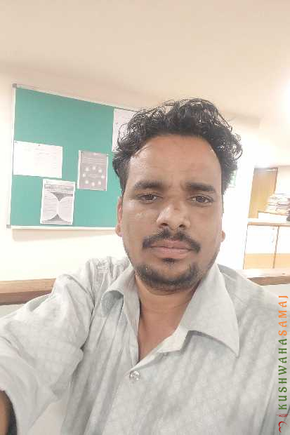 Manish Kushwaha KSSV19488